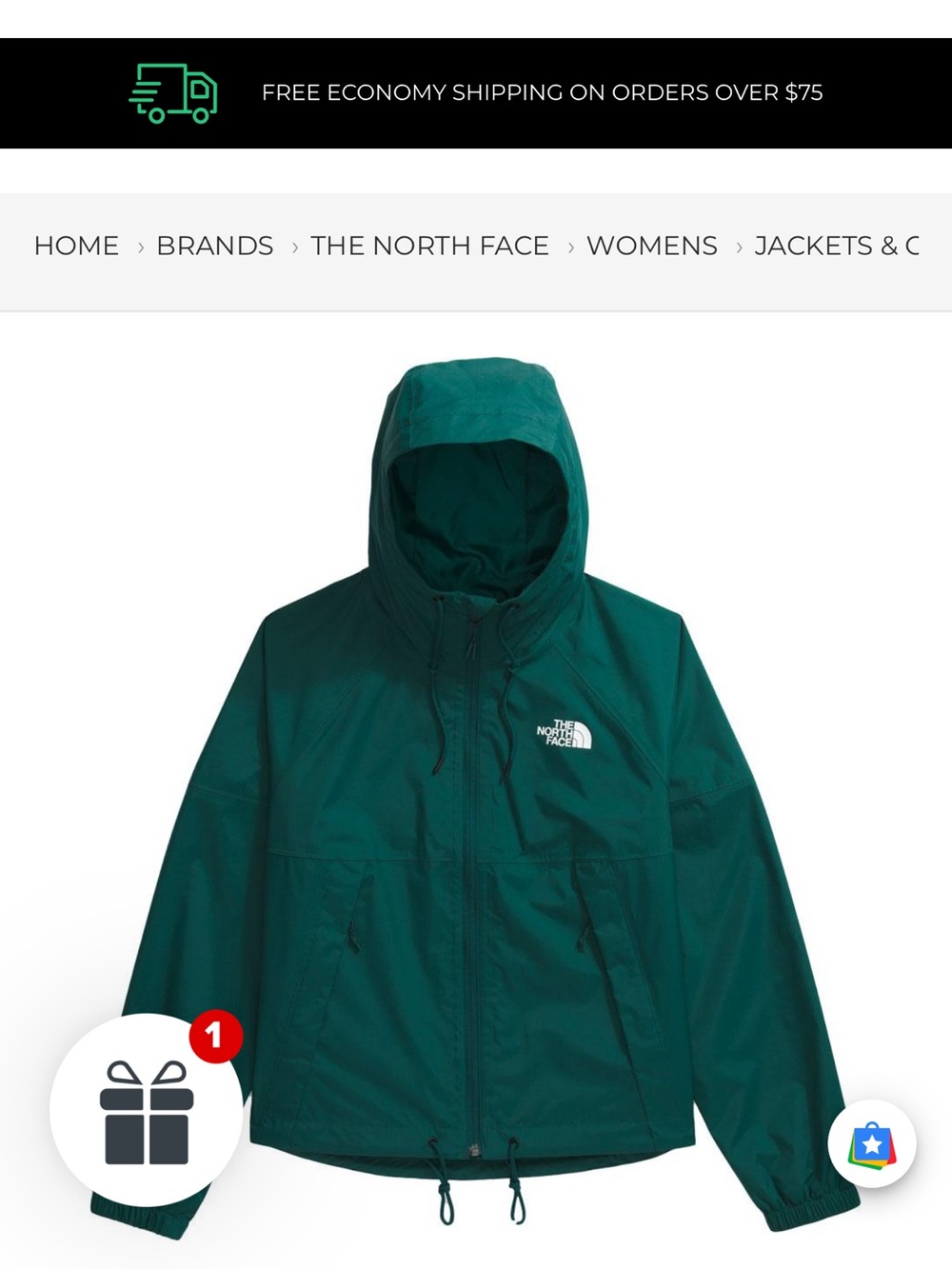 North Face Rain Jacket